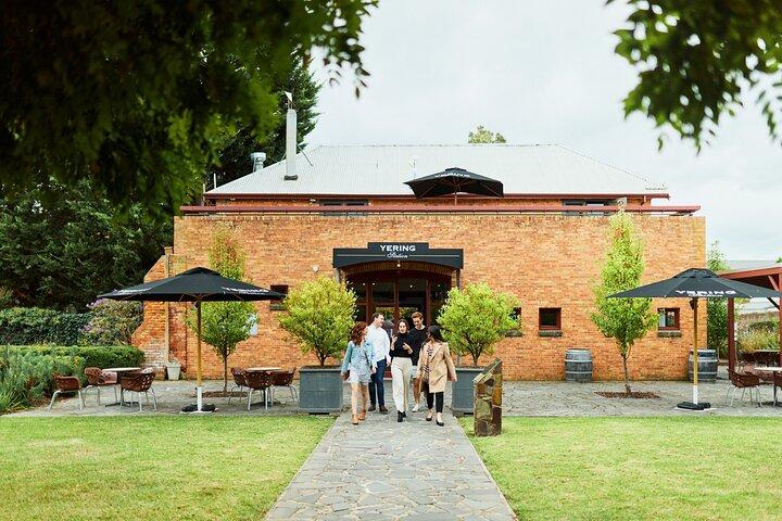 Yarra Valley Chandon Cheese & Sunset Kangaroos de Melbourne