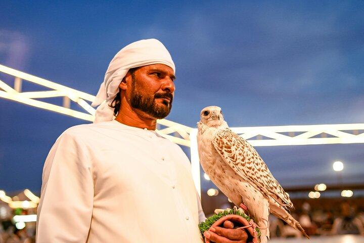 Dubai Desert Escape: Safari Red Dunes, Falcon, Camel & BBQ Dinner