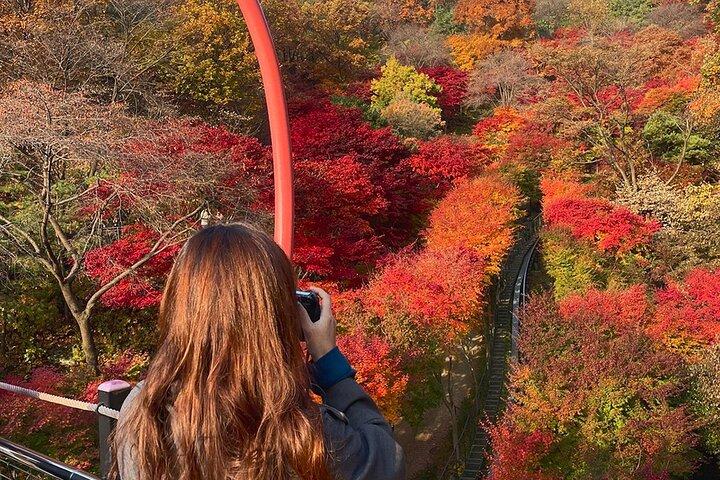 和潭植物園と南漢山城と民俗村の旅