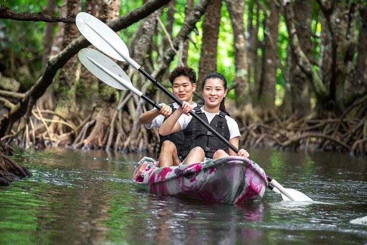 Ishigaki Mangrove Canoe ou SUP & Taketomi Island Exploration