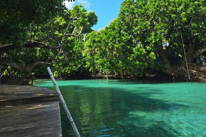 Vanuatu : Tagesausflug nach Efate Round Island mit Mittagessen am Top Rock
