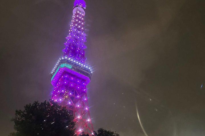 東京VIPプライベートナイトライフツアー（現地関係者付き）