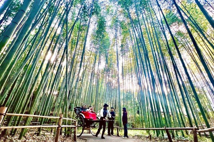 Bambushain Tempel und Gartenblick Tour