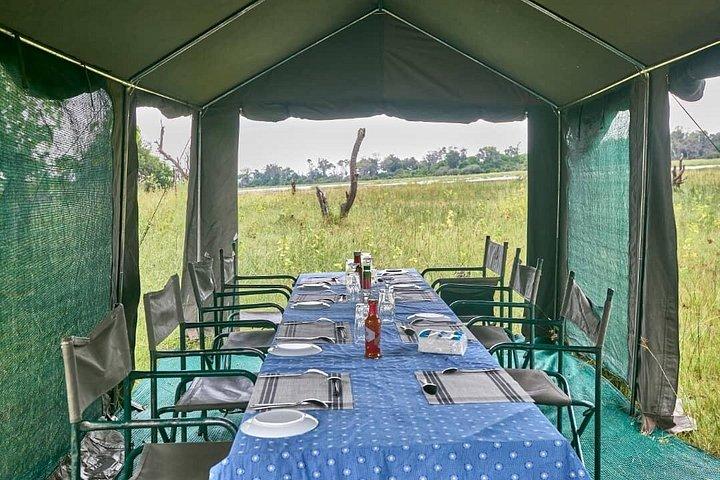 3 Day Botswana Safari Khwai Concession Shared Tour