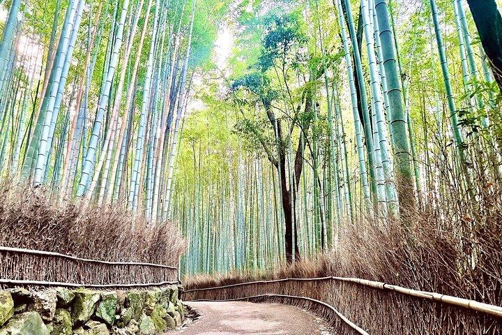 Bambushain Tempel und Gartenblick Tour