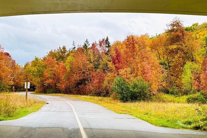 Cabot Trail Scenic Culture and Adventure Drive Tour