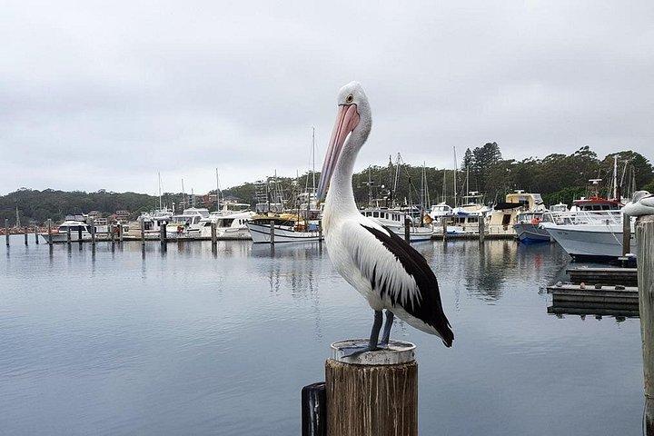 Côte sud, Waterfals, Tempels, Kiama Visite vraiment privée
