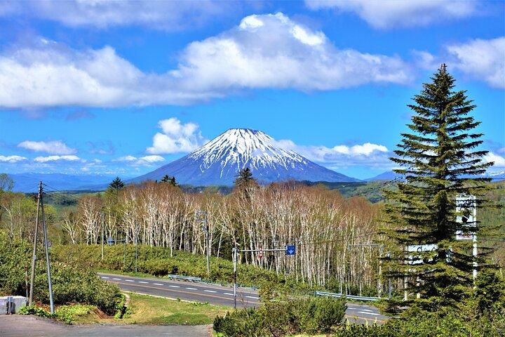Nationalpark Dagstur fra Sapporo med privat bil