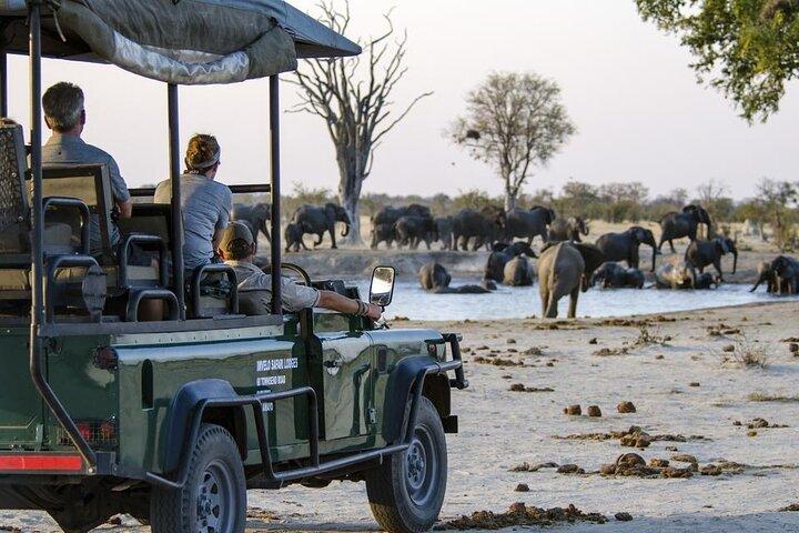 Chobe volledige dagtrip vanuit Victoria Falls