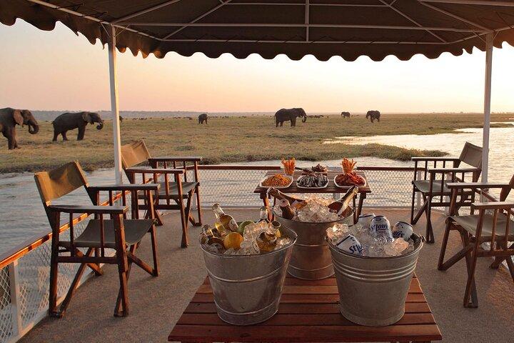 Chobe volledige dagtrip vanuit Victoria Falls