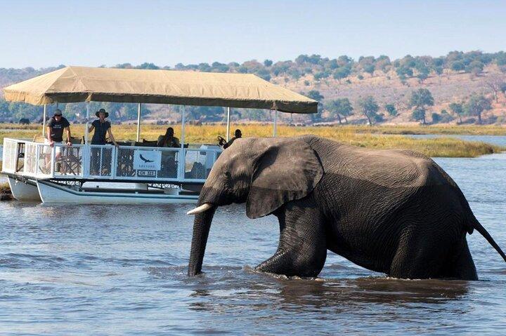 Chobe volledige dagtrip vanuit Victoria Falls