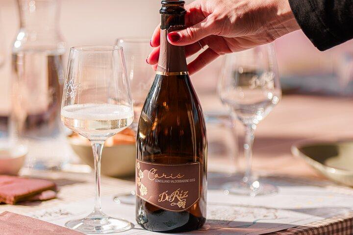 Guidet tur og smagning af 3 vine i Prosecco-bakkerne