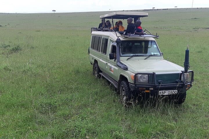 Lake Nakuru, Naivasha and Masai Mara Private Safari Tour