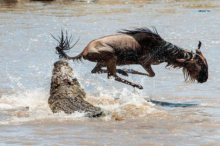 Safari di 4 giorni da Nairobi Wildlife Tour