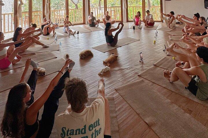 Puppy Yoga Bali, Uluwatu - No1 Cosa fare a Bali