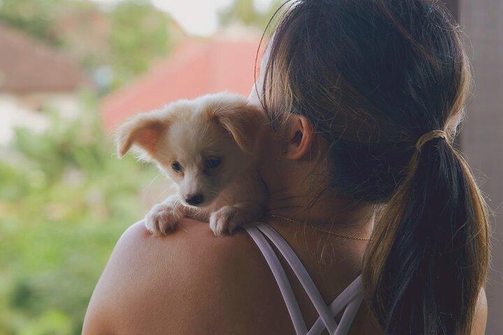 Puppy Yoga Bali, Ubud - No1 de atividades em Bali
