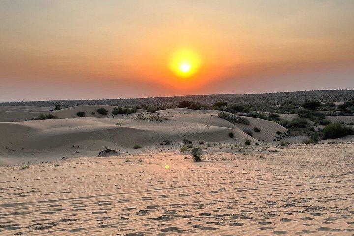 Private Overnight Safari Tour with Camel Ride