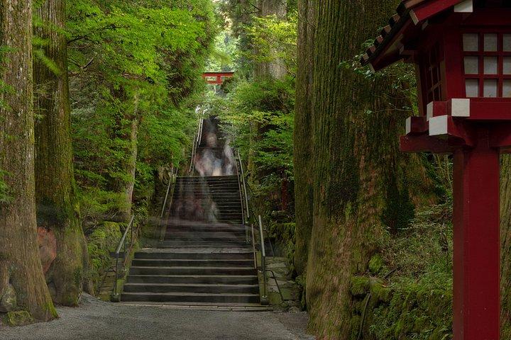 東京からの場合： プライベートJDM/スポーツカーツアー - 富士山と箱根