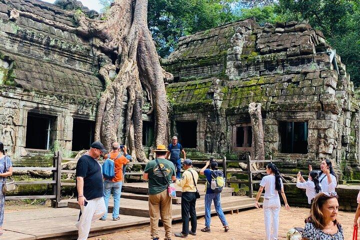 Angkor Wat & Ta Prohm Hidden Wonders Tour