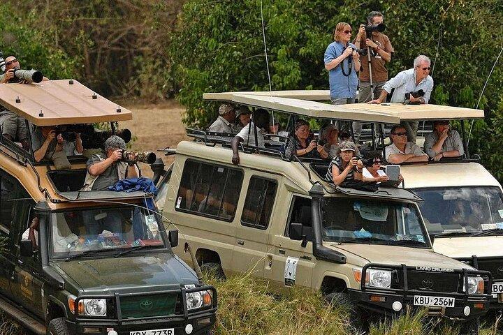 4 jours de Masai Mara et du groupe du lac Nakuru rejoignant Budget Safari
