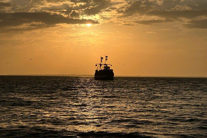 Tour privado en barco de 90 minutos en Fort Myers Beach