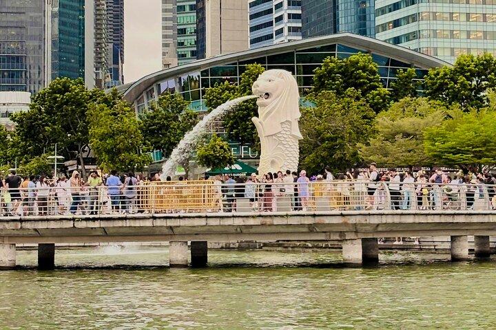 3 Pax Bundle Singapore River Cruise und atemberaubende Lichtshows
