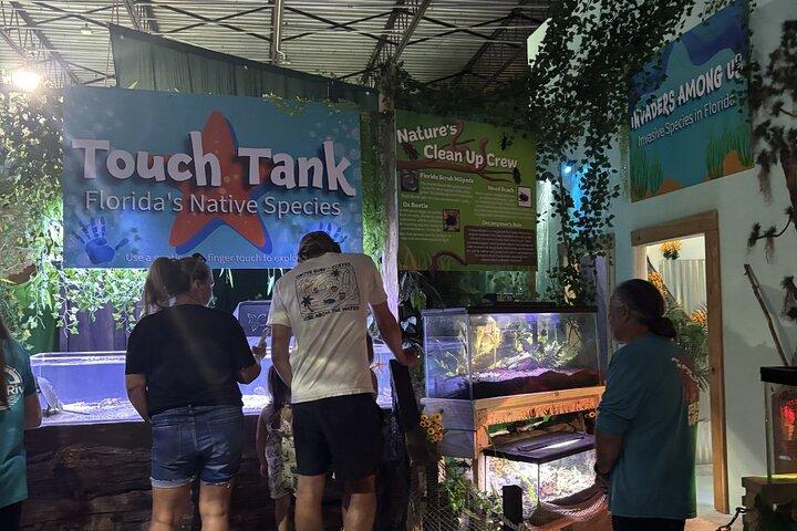Crystal River Manatee Swim – 3 horas, máximo 6 pessoas