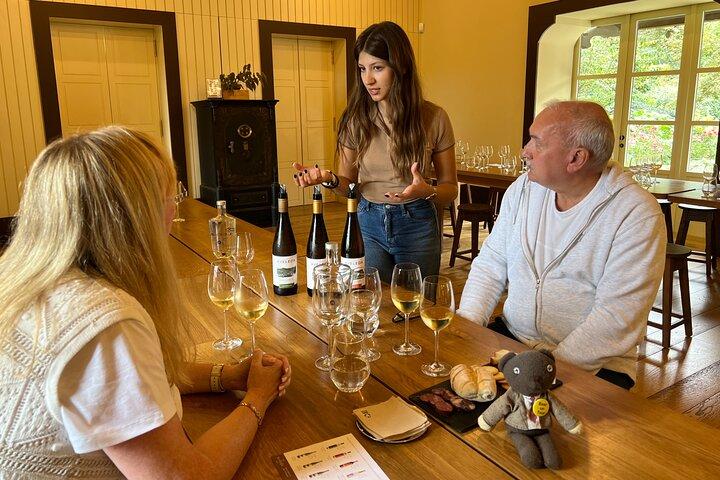 Privé luxe wijn- en tuintour met lunch bij Quinta da Aveleda