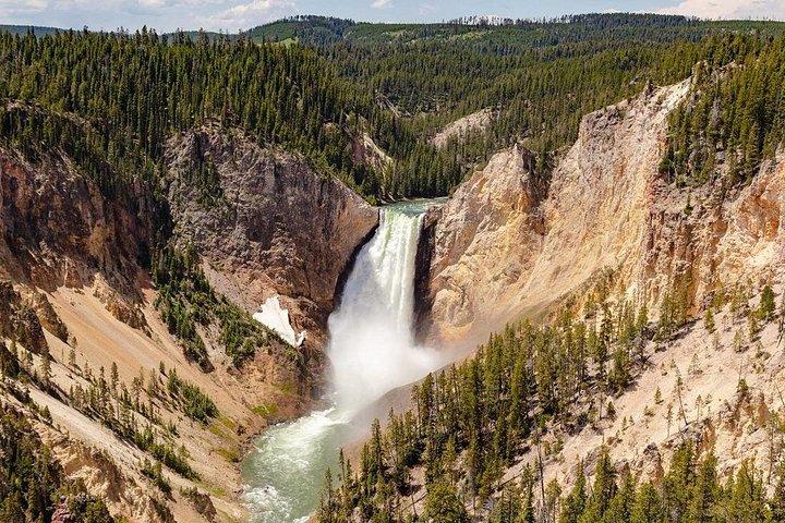 Excursão privada em Yellowstone Lower Loop