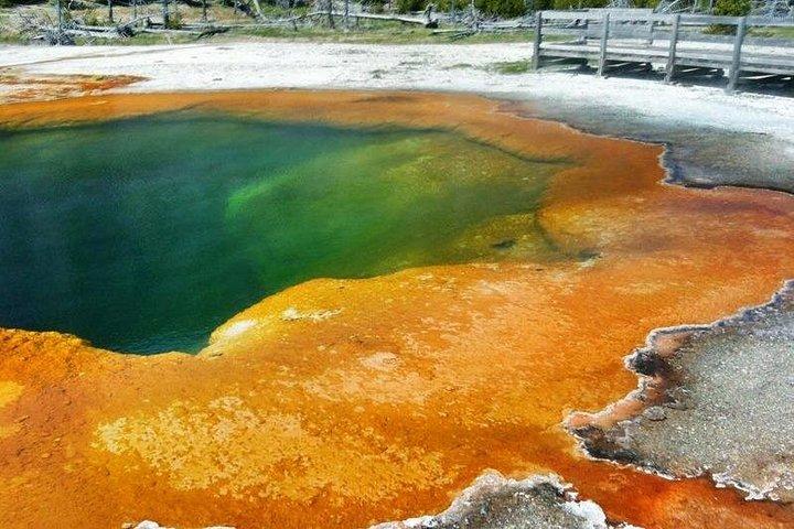 Excursão privada em Yellowstone Lower Loop