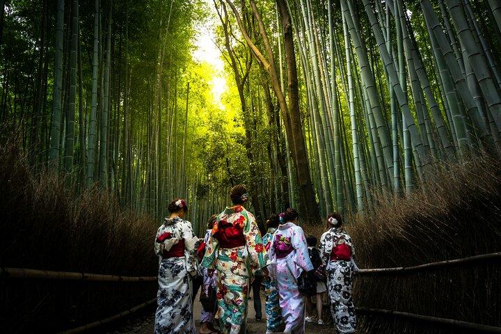 京都：嵐山アーリーアクセス竹仏寺ツアー