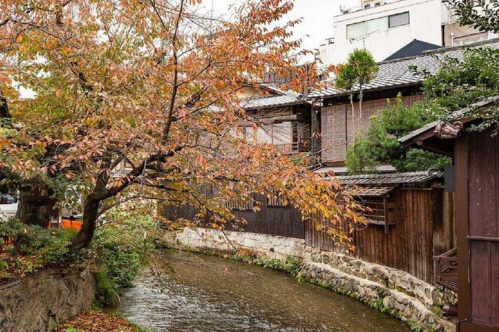 京都祇園ナイトウォーク＆芸者地区ガイドツアー