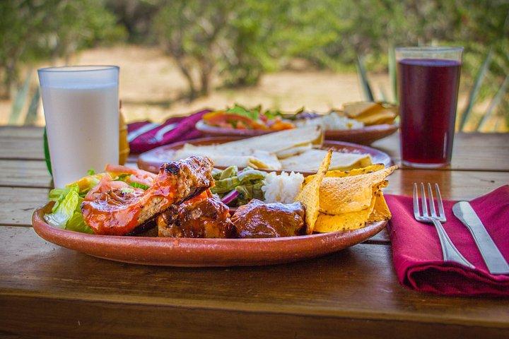 Giro in cammello con degustazione di tequila a Los Cabos