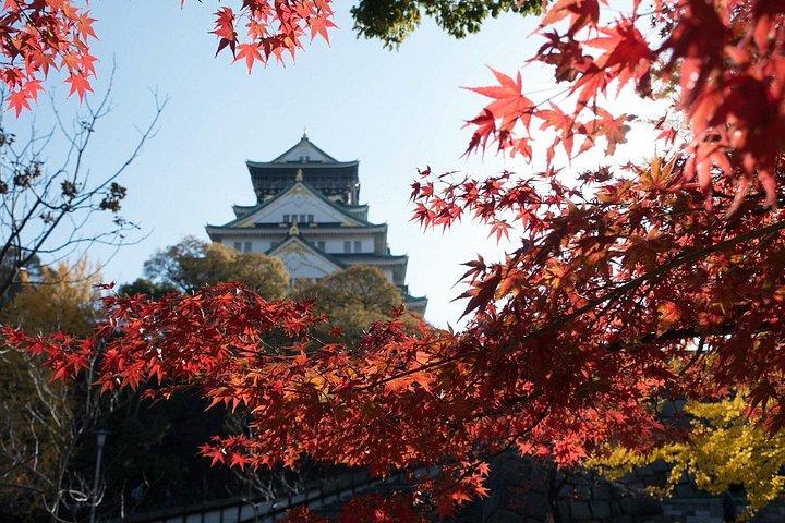 大阪城＆サムライツアー：入場料込みオプション