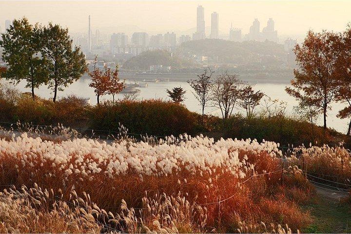 ソウル市内ハイライトツアー： 韓屋村、絶景ルート