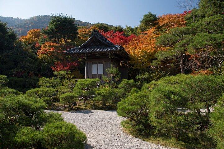 京都の嵐山の竹林：3時間のガイド付きツアー