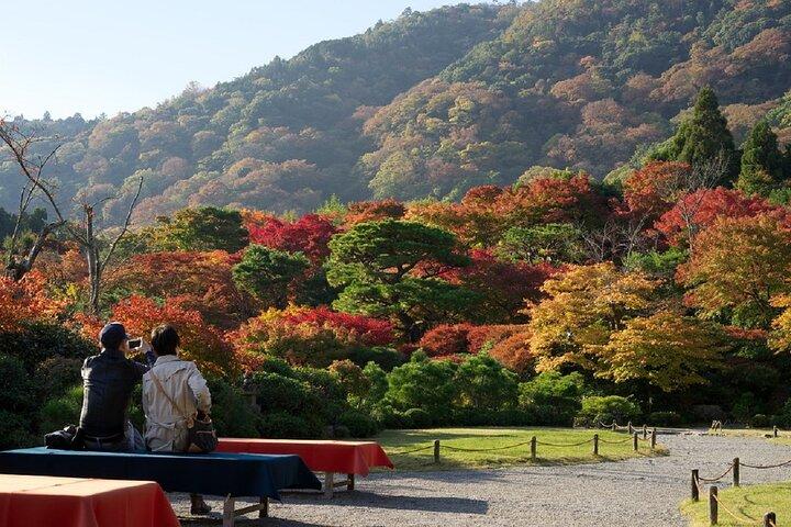 京都の嵐山の竹林：3時間のガイド付きツアー