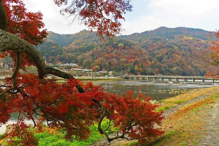 京都の嵐山の竹林：3時間のガイド付きツアー