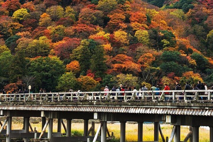 京都の嵐山の竹林：3時間のガイド付きツアー
