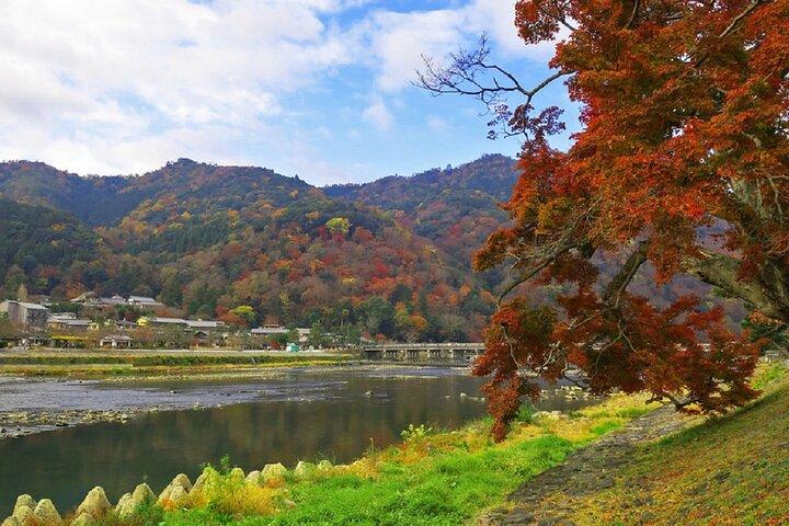 京都の嵐山の竹林：3時間のガイド付きツアー