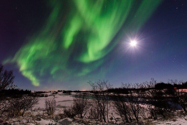 Northern Lights Tour i minibus fra Reykjavik