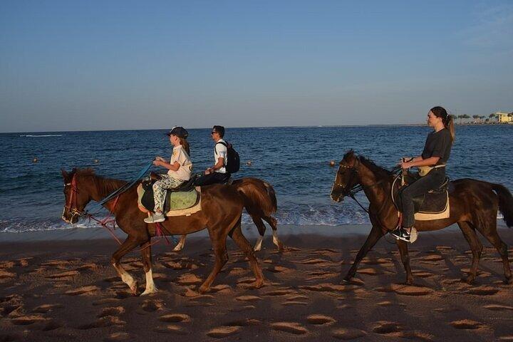 Sunrise Horse Ride 2 - Ørken og Hav med Transfer – Hurghada