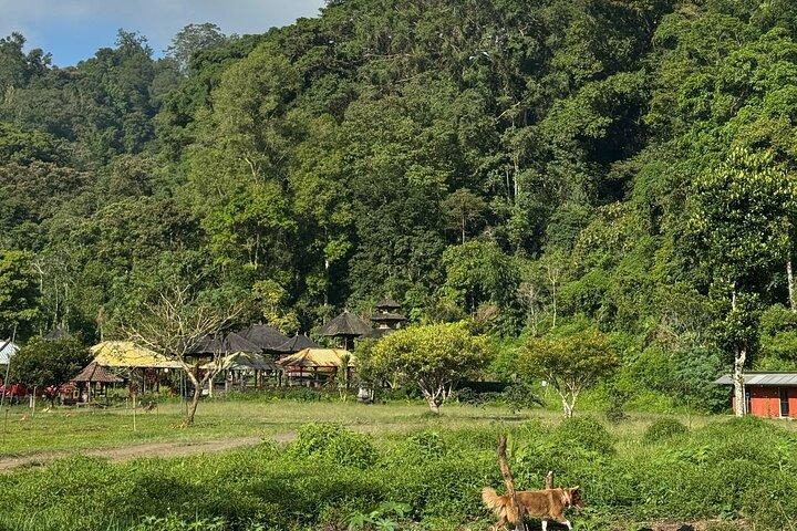 Natuurboswandeling op Bali
