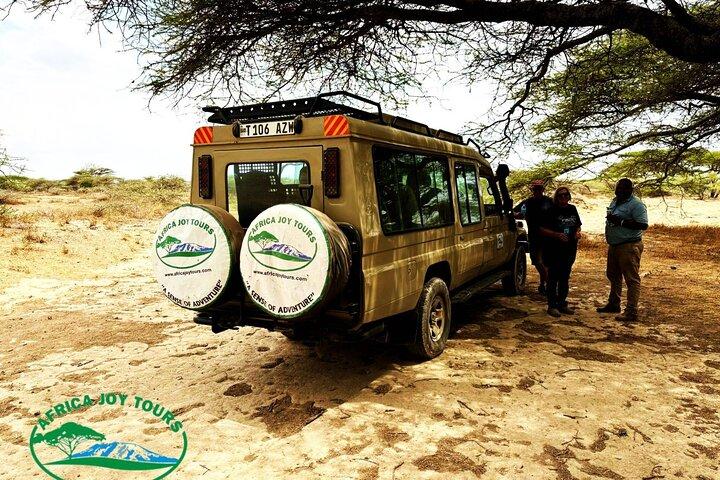 4 - Day Safari à Tarangire, Lac Manyara et cratère Ngorongoro