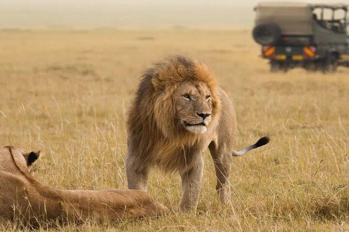 4 - Day Safari à Tarangire, Lac Manyara et cratère Ngorongoro