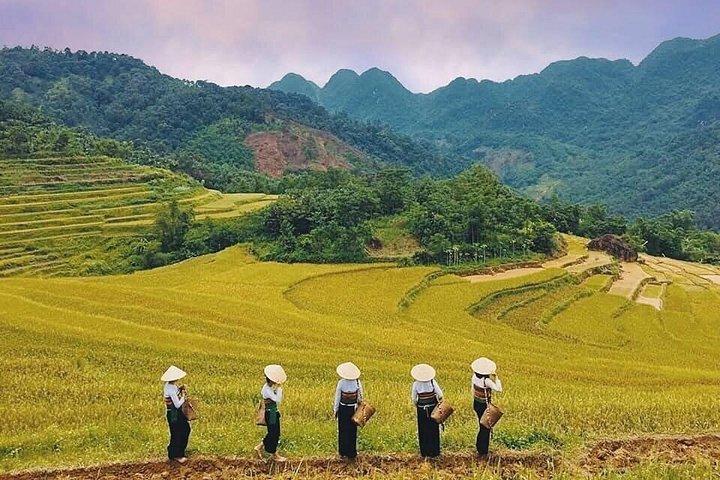 サイクリング文化と洞窟の不思議とマイチャウ隠された宝物