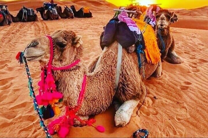 4 Day Marrakech to Merzouga Luxury Desert Adventure