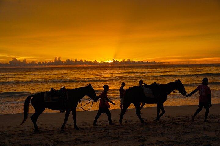 Phuket Sunset Horse Riding em Kamala Beach
