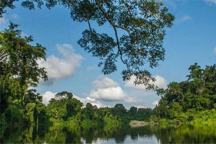 マヌ国立公園ツアー3泊4日