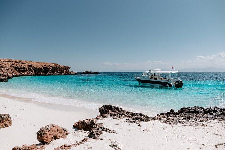Hotell nära Daymaniyat Island Natural Reserve Snorkling